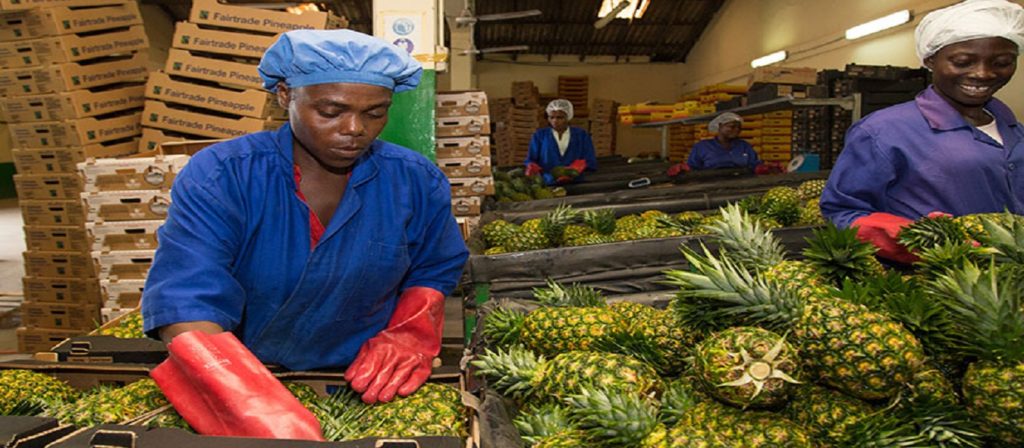 gh-making-agriculture-the-engine-of-growth-and-job-creation-in-ghana-780x439